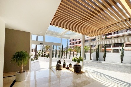 Coral Ocean View - 28