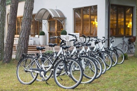 Poľsko Baltské more Neptuno Resort & Spa 3 dňový pobyt Raňajky Vlastná November 2025 ( 9/11/25-11/11/25)