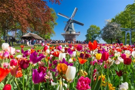 Květinový park Keukenhof a procházka Amsterdamem - 2