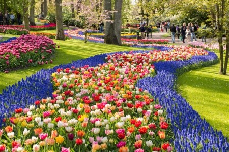 Květinový park Keukenhof a procházka Amsterdamem - 14