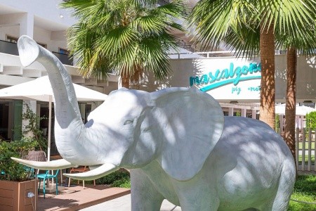 Španielsko Mallorca Innside Alcudia 5 dňový pobyt Polpenzia Letecky Letisko: Praha July 2026 (29/07/26- 2/08/26)