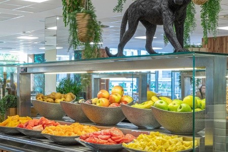 Španielsko Mallorca Innside Alcudia 5 dňový pobyt Polpenzia Letecky Letisko: Praha July 2026 (29/07/26- 2/08/26)