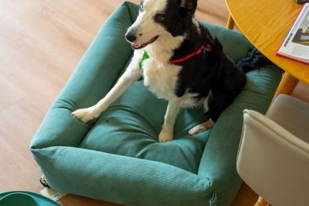 Španielsko Mallorca Innside Alcudia 5 dňový pobyt Polpenzia Letecky Letisko: Praha July 2026 (29/07/26- 2/08/26)