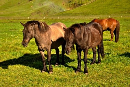 NA ISLAND Z PRAHY, nejen pro 55+ - 11