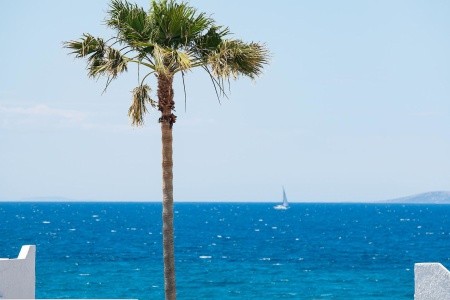 Grécko Kos Aeolos Beach 4 dňový pobyt All Inclusive Letecky Letisko: Praha June 2026 (24/06/26-27/06/26)