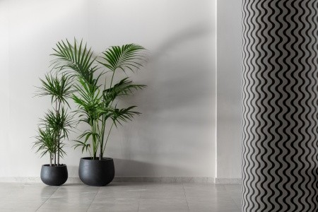 Grécko Rodos Paralos Rodos Lifestyle (Ex.