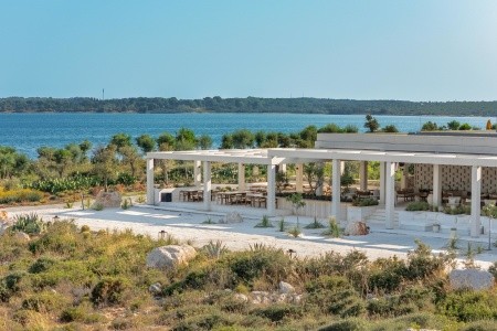 Anda Barut Collection - 301