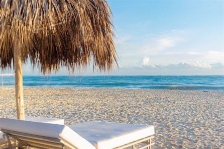 Tropical Deluxe Princess - 18