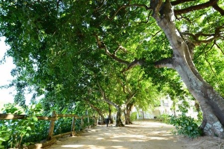 Ravenala Attitude (Ex. La Plantation Resort) - 4