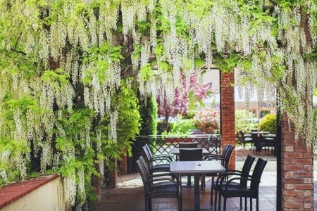 Caramell Premium Resort - 15