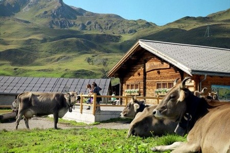 Od palem k zasněženým třítisícovým vrcholům - 3