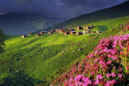 Od palem k zasněženým třítisícovým vrcholům - 4