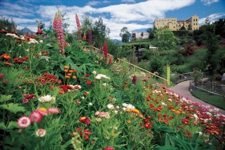 Od palem k zasněženým třítisícovým vrcholům - 10