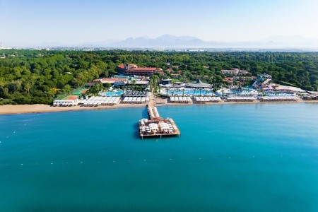 Papillon Belvil - 269