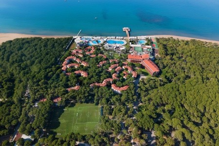 Papillon Belvil - 270