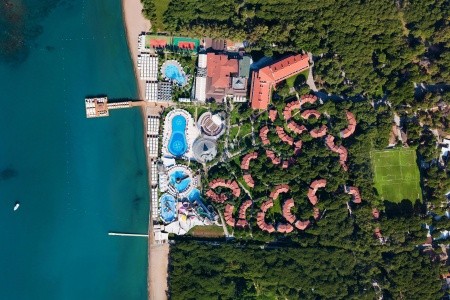 Papillon Belvil - 271