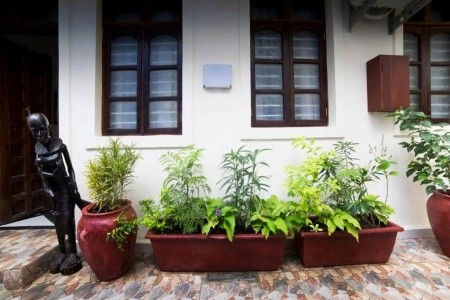Spice Palace