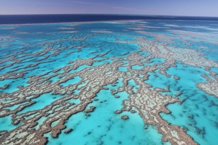 PERLY AUSTRÁLIE S ČESKÝM PRŮVODCEM - 15