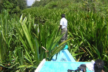 KALIMANTAN - JÁVA - BALI - 15