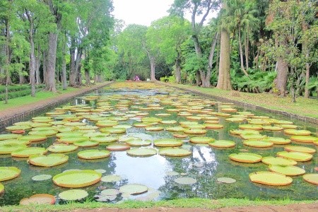 MAURICIUS – RÁJ NA ZEMI - 10