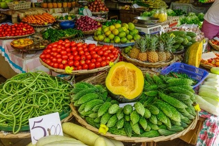 MAURICIUS – RÁJ NA ZEMI - 11