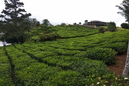 MAURICIUS – RÁJ NA ZEMI - 17