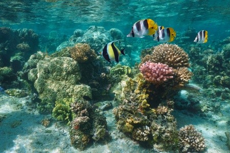 FRANCOUZSKÁ POLYNÉSIE - OSTROVY TROPICKÉHO RÁJE - 3