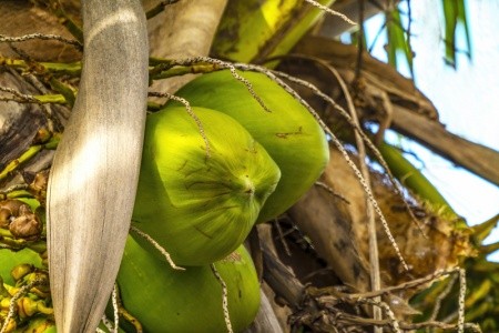 FRANCOUZSKÁ POLYNÉSIE - OSTROVY TROPICKÉHO RÁJE - 18