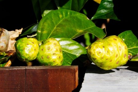 FRANCOUZSKÁ POLYNÉSIE - OSTROVY TROPICKÉHO RÁJE - 21