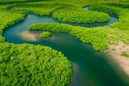 BRAZÍLIE - VELKÝ OKRUH ZA PŘÍRODNÍMI SKVOSTY