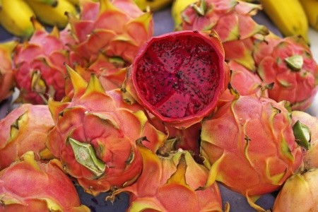 BRAZÍLIE - VELKÝ OKRUH ZA PŘÍRODNÍMI SKVOSTY - 6