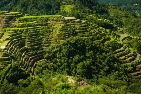 FILIPÍNY - ZEMĚ SEDMI TISÍC OSTROVŮ S PRODLOUŽENÍM O OSTROV PALAWAN - 14