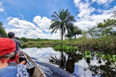 BRAZÍLIE - VELKÝ OKRUH ZA PŘÍRODNÍMI SKVOSTY S PRODLOUŽENÍM O OSTROVY ITAPARICA, FRADES, BOIPEBA A TINHARÉ - 12