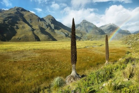 PERU A BOLÍVIE - ZEMĚ INKŮ A VELEHOR S PRODLOUŽENÍM O SEVERNÍ PERU A NÁRODNÍ PARK HUASCARÁN