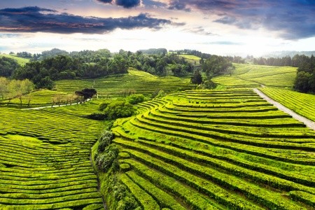 AZORY - OSTROVY UPROSTŘED ATLANTIKU - 7