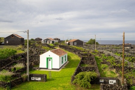 AZORY - OSTROVY UPROSTŘED ATLANTIKU - 11