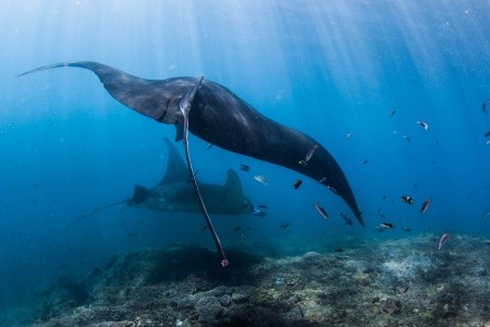 BALI - LOMBOK - KOMODO - 20