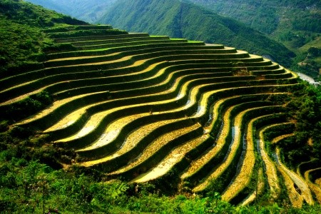 SEVERNÍ VIETNAM A LAOS - 12