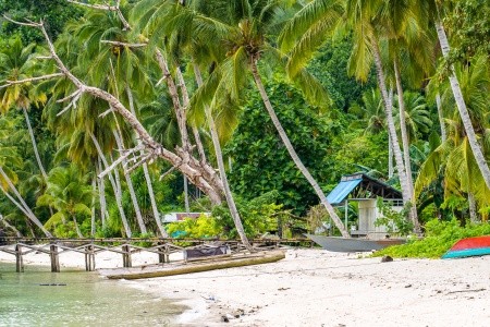 RAJA AMPAT - V TERMÍNU I NA VÁNOCE