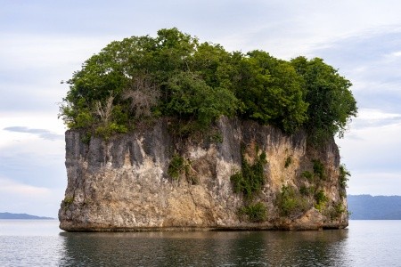 RAJA AMPAT - V TERMÍNU I NA VÁNOCE - 3