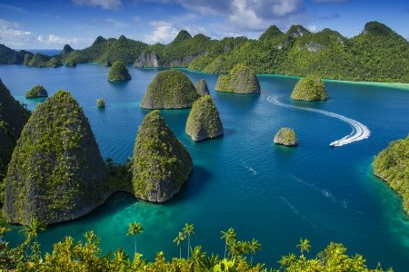 RAJA AMPAT - V TERMÍNU I NA VÁNOCE - 11