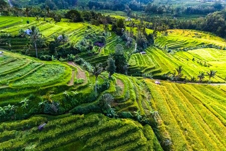 BALI - OSTROV BOHŮ A TANEČNIC, 4* HOTEL - 9