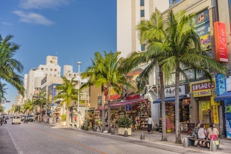 JARNÍM JAPONSKEM - PO OSTROVECH HONŠÚ, KJÚŠÚ A OKINAWA - 25