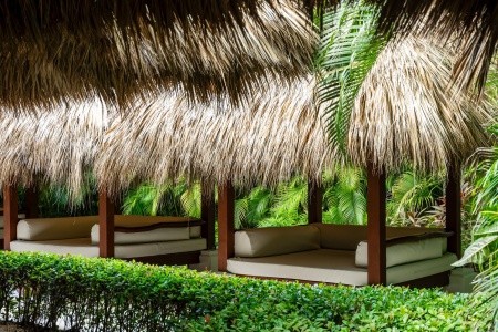 Zel Punta Cana (Ex. Garden Suites By Meliá) - 26