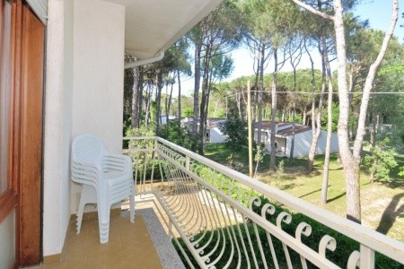 Gabbiano (Lido Del Sole) - 9