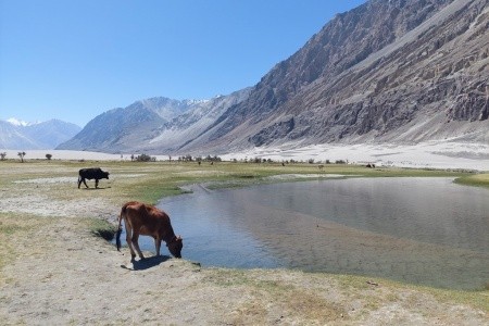 Poznávací zájezd Indie (Ladakh) - Velký okruh Malým Tibetem - 15