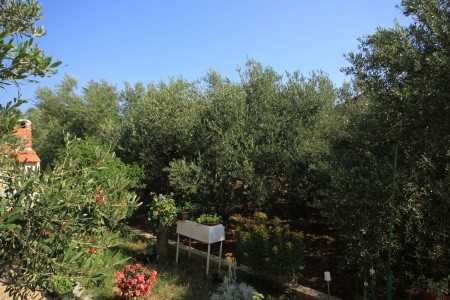 Apartmány 3298-1830 - 8