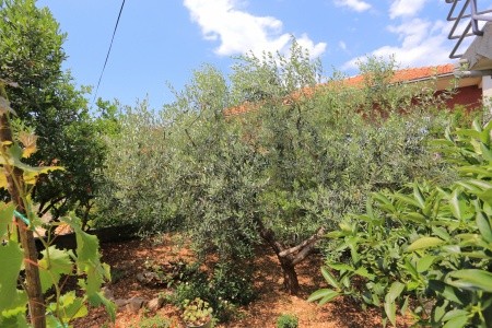 Apartmány 3298-891 - 10