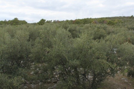 Apartmány 3298-1908 - 64