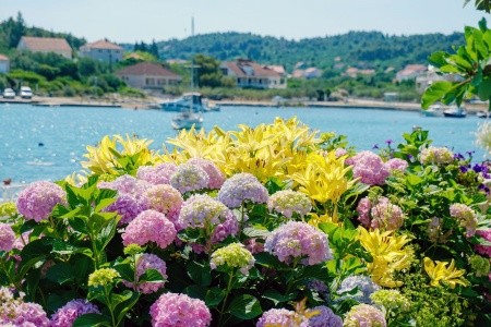 Penzion 3298-654 - 31